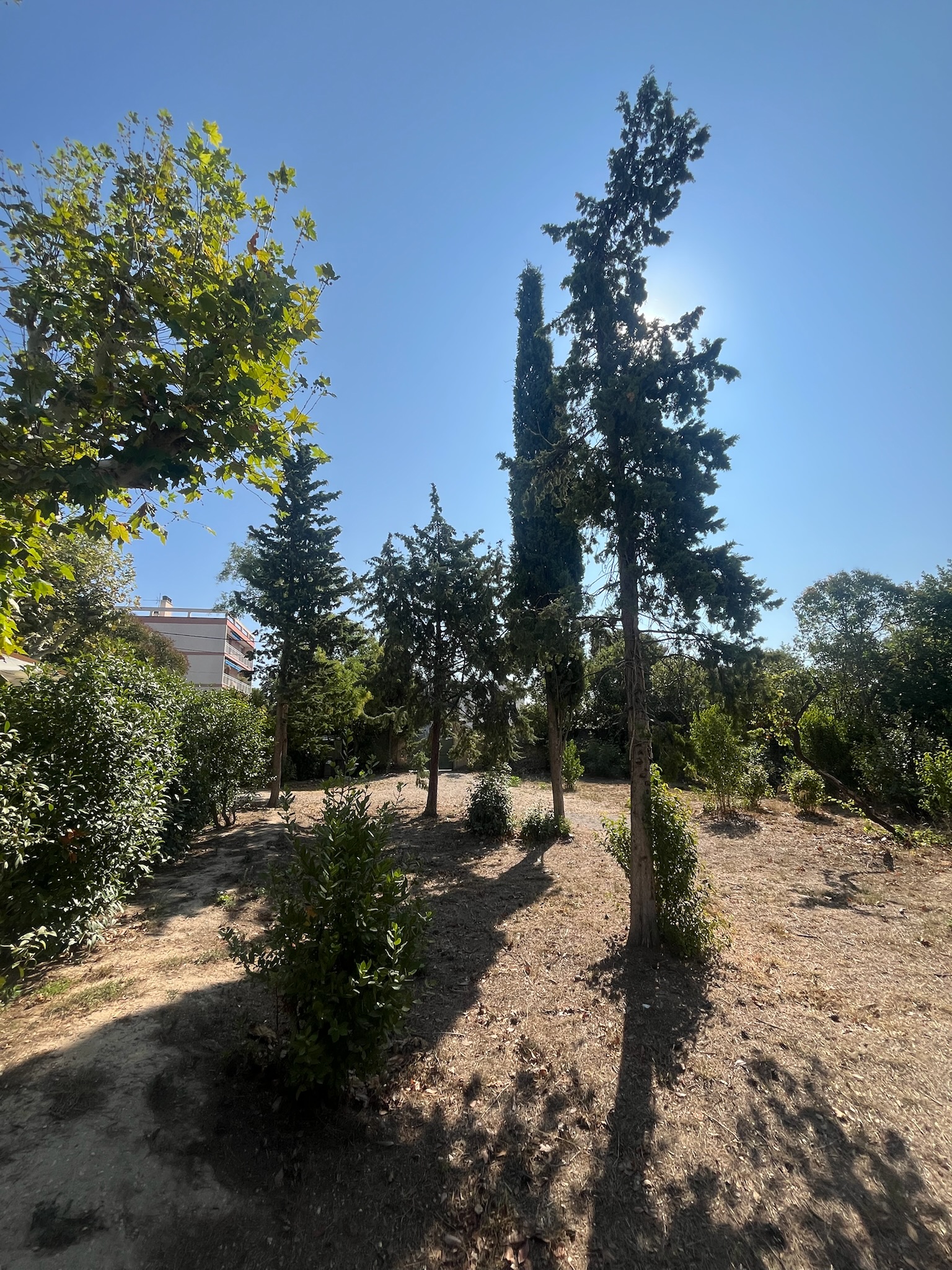 Chantier Bianco - Photo 43